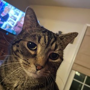 Meet your Posher, Axel